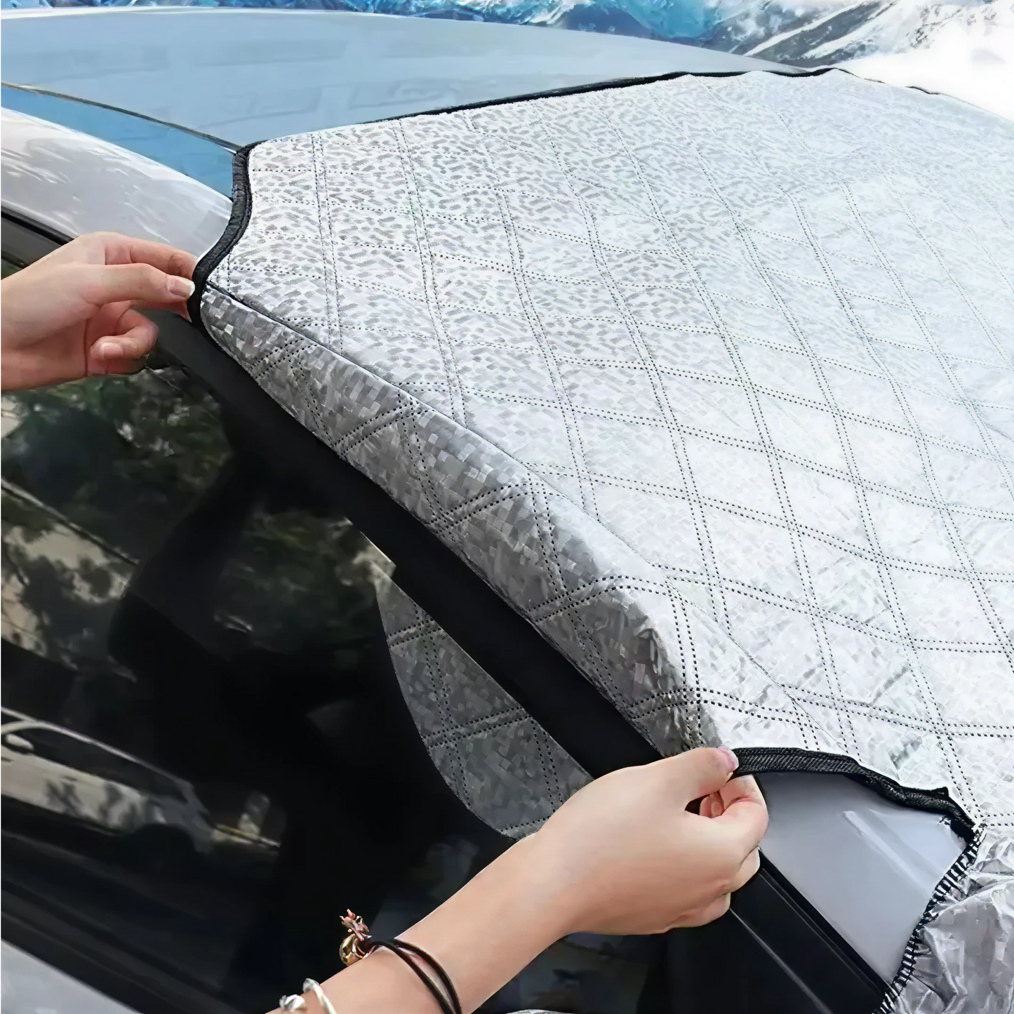 Windshield Snow Guard